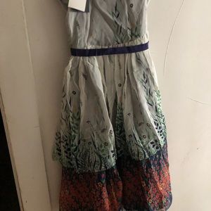 Anna Sui Anthropology